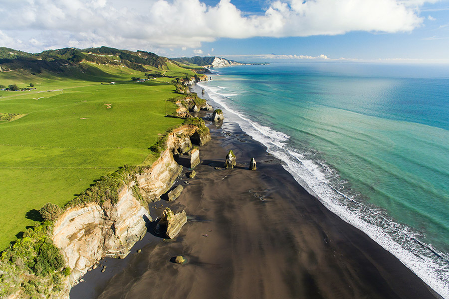 BDO Taranaki